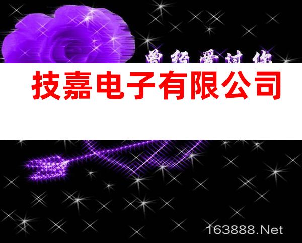 技嘉电子有限公司