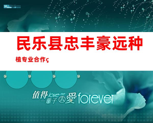 民乐县忠丰豪远种植专业合作社