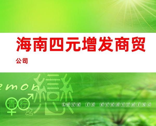 海南四元增发商贸公司